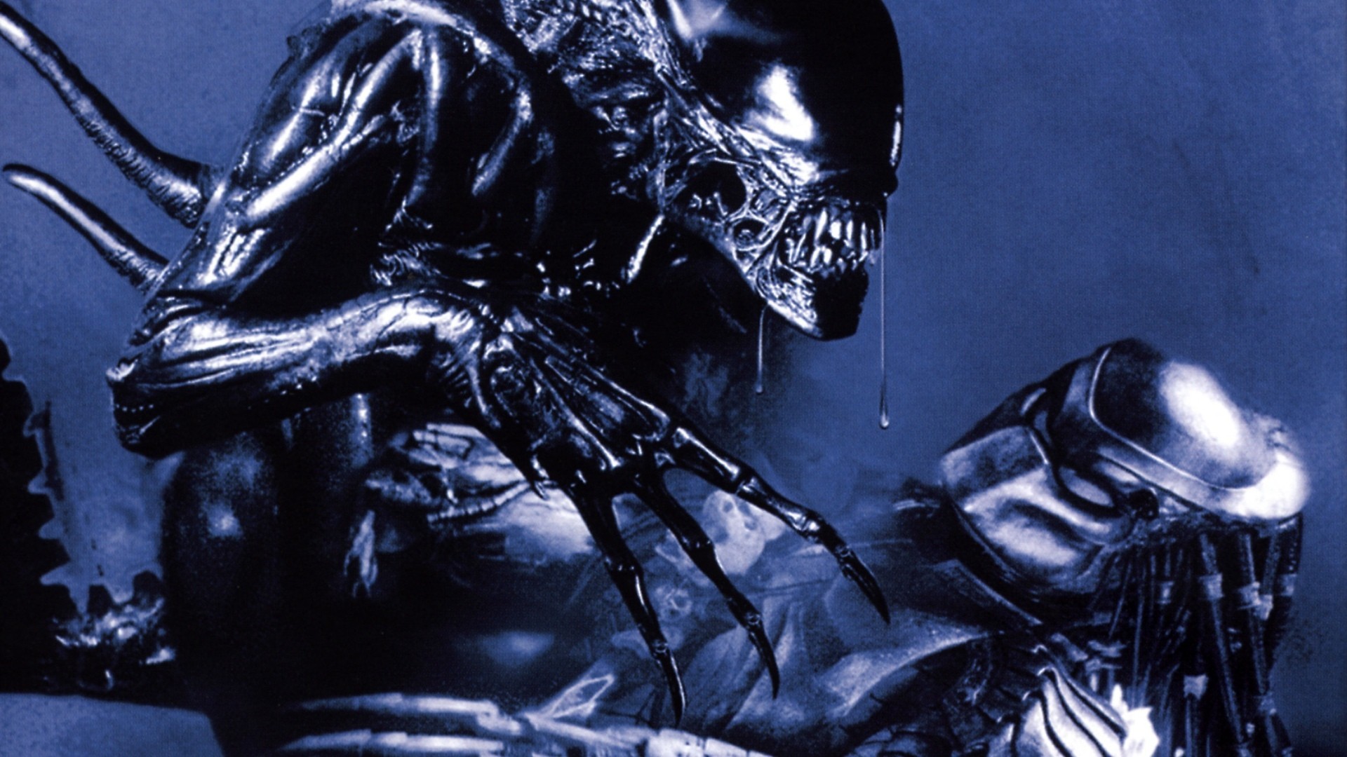 Alien vs. Predator' Feels Like a Classic Universal Monster Movie Crossover  on Steroids – Addicted to Horror Movies
